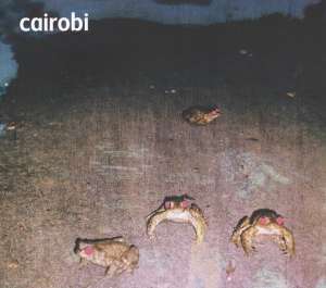 Cairobi: Cairobi, CD