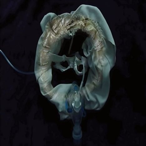 Ship Sket: InitiatriX, LP