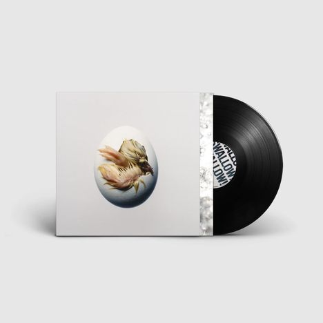 Text: "SWALLOW". Schwarze Vinyl-Schallplatte halb in weißer Hülle mit Kunstwerk eines Fisches in einem ovalen Raum.