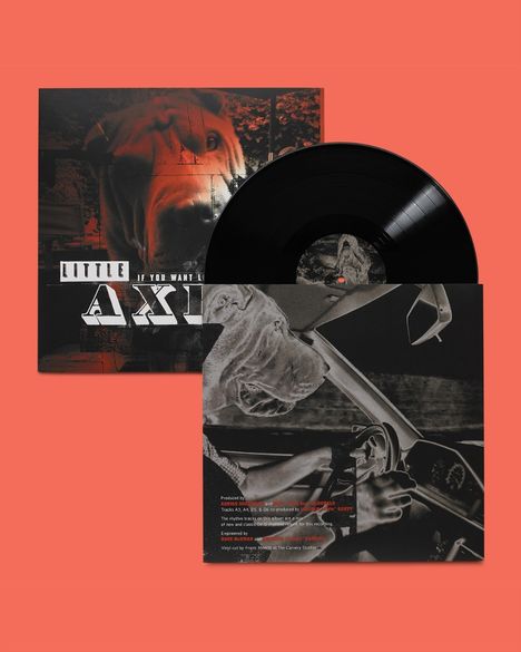 Cover/Produkt Ansicht vergrößern