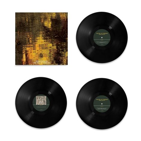 Covertext: "Sarah Davachi - The Will of Tongues". Drei Schallplatten mit grünen Etiketten, leicht goldene Reflexion.