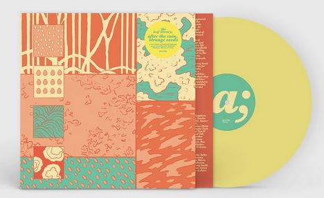 Ein Plattencover mit abstrakten Mustern, warmen Farben, einem gelben Vinyl mit türkisfarbenem Etikett.