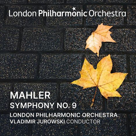 Text: London Philharmonic Orchestra, Mahler Symphony No. 9, Vladimir Jurowski Conductor. Herbstblätter auf Pflastersteinen.
