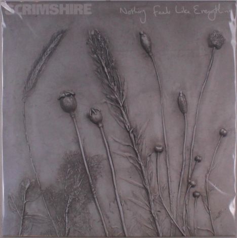 Scrimshire: Nothing Feels Like Everything, LP