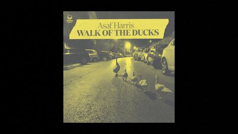 Asaf Harris: Walk Of The Ducks, CD
