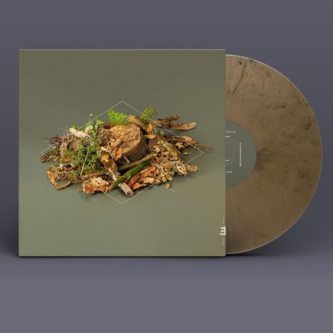 Fergus McCreadie: Forest Floor, LP