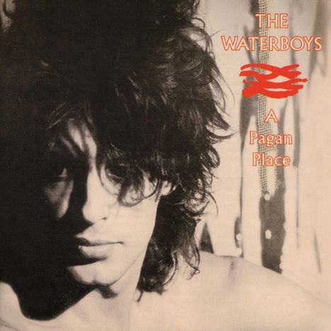 The Waterboys: A Pagan Place, CD