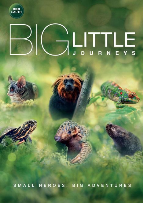 Big Little Journeys (2023) (UK Import), DVD