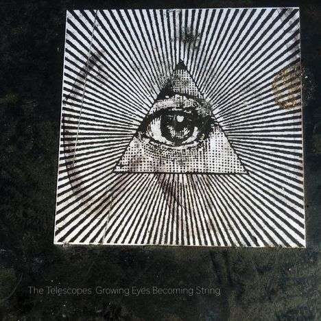 The Telescopes: Growing Eyes Becoming String (Frosted Clear Vinyl), LP