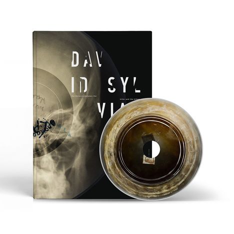 Cover eines Albums mit der Aufschrift „DAVID SYLVIAN“ und einem runden, fast durchsichtigen Schallplatten-Design.