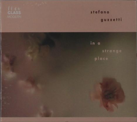 "stefano guzzetti" oben rechts, "in a strange place" mittig, unscharfer Hintergrund mit Blumenmotiv.