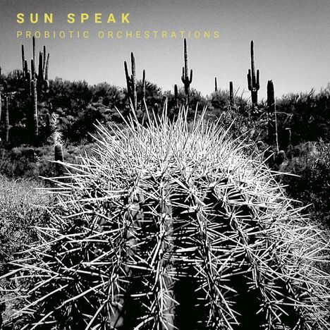 Text: "SUN SPEAK, PROBIOTIC ORCHESTRATIONS". Eine schwarz-weiße Aufnahme zeigt Kakteen in einer Wüstenlandschaft.