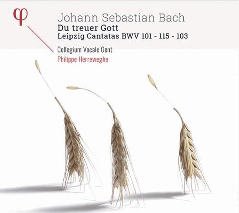 Johann Sebastian Bach (1685-1750): Kantaten BWV 101,103,115, CD