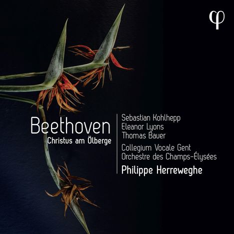 Ludwig van Beethoven (1770-1827): Christus am Ölberge op.85, CD