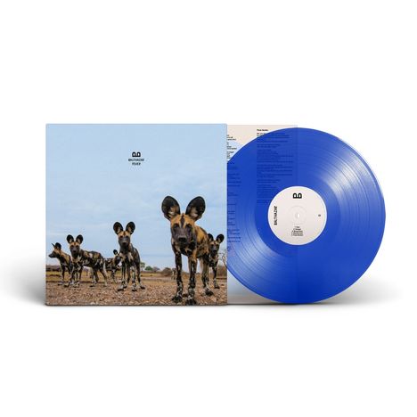 Balthazar: Fever (Limited Edition) (Transparent Blue Vinyl), LP