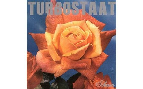 Turbostaat: Schwan (Ltd. 180g LP), LP