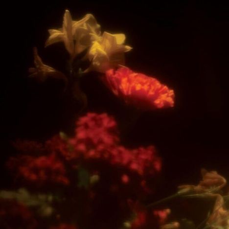 Gregoire Gerstmans (geb. 1985): Hypnagogie, CD