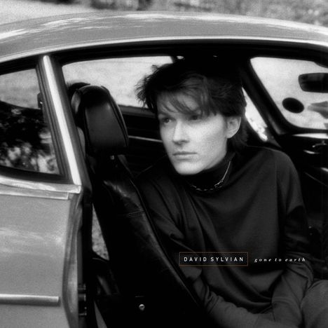 David Sylvian: Gone To Earth, 2 LPs