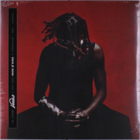 Ein Mann mit geflochtenen Haaren sitzt in nachdenklicher Haltung vor rotem Hintergrund.