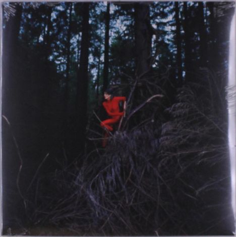 Keine Texte sichtbar. Eine Person in einem roten Anzug sitzt in einem dunklen Wald auf Ästen.