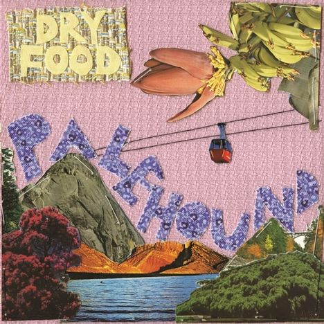 Palehound: Dry Food, CD