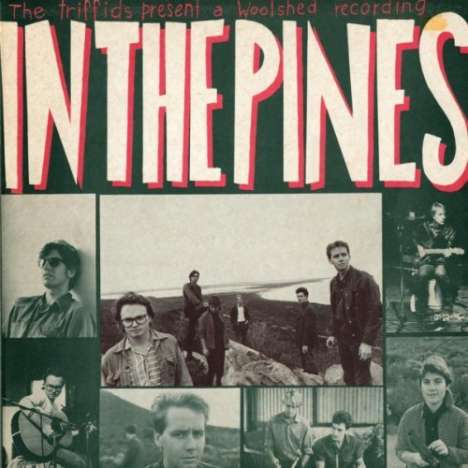 The Triffids: In The Pines (Remixed &amp; Remastered), CD