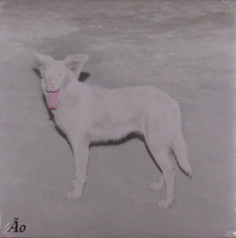 Text: „Āo“. Ein weißer Hund mit einer herausgestreckten Zunge steht auf einem grauen Hintergrund.