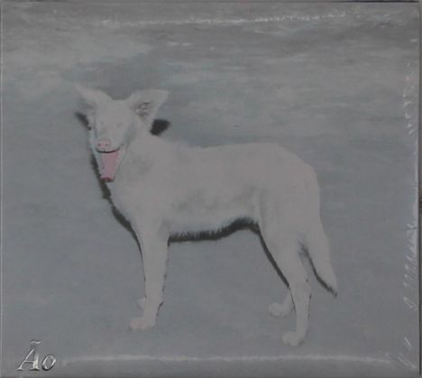 Text "Áo" in der unteren Ecke. Ein weißer Hund mit offenem Mund steht auf einem grauen Hintergrund.