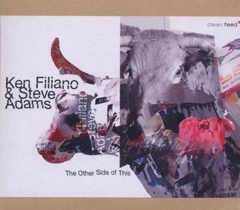 Ken Filiano &amp; Steve Adams: The Other Side Of This, CD