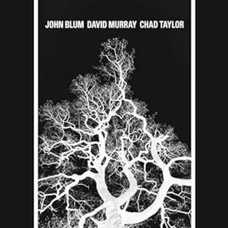 John Blum: Recursive Tree, CD