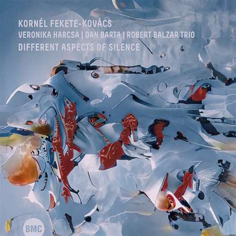 Kornél Fekete-Kovács (geb. 1970): Different Aspects Of Silence, CD