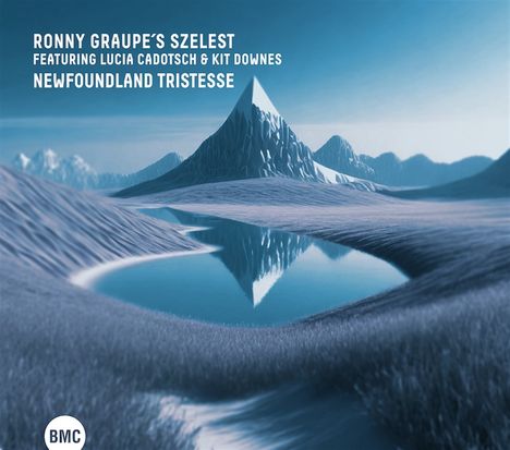Ronny Graupe (geb. 1979): Newfoundland Tristesse, CD