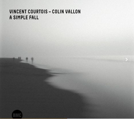 Vincent Courtois & Colin Vallon: Simple Fall, CD