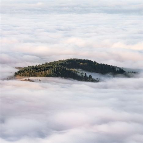 Ein Hügel mit Bäumen ragt aus einer dichten Wolkendecke hervor, umhüllt von weichem Licht.