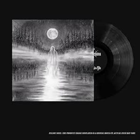 Bitte beachten: Das Produktbild zeigt ein schwarze Vinyl-Schallplatte. Nebliger Wald mit Mond und Figur im Vordergrund.