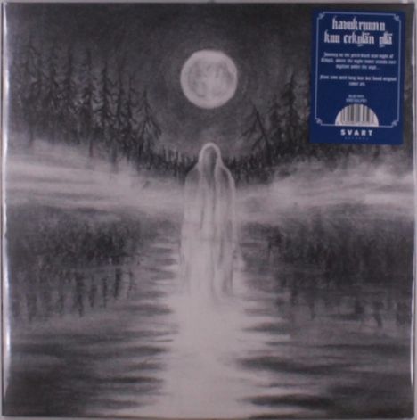 Ein gespenstischer Mensch in einem langen Gewand steht auf einem nebligen Weg, umgeben von einem dunklen Wald bei Vollmond.