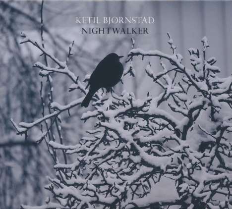 Ketil Björnstad (geb. 1952): Nightwalker, 2 CDs