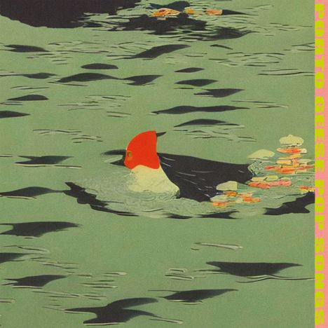 Text "PORTO GEESE POP SONGS" am Rand, Illustration einer Ente mit rotem Kopf auf grünem Wasser.