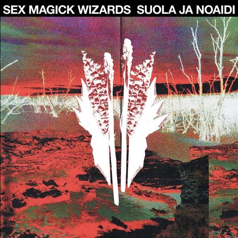 Oben steht „SEX MAGICK WIZARDS SUOLA JA NOAIDI“. Darunter eine bunte Landschaftsillustration in Rot- und Grüntönen.