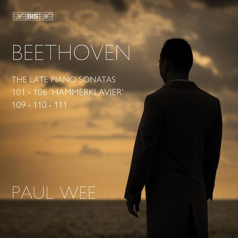 BEETHOVEN, THE LATE PIANO SONATAS 101-111, PAUL WEE. Silhouette eines Mannes vor bewölktem Himmel.
