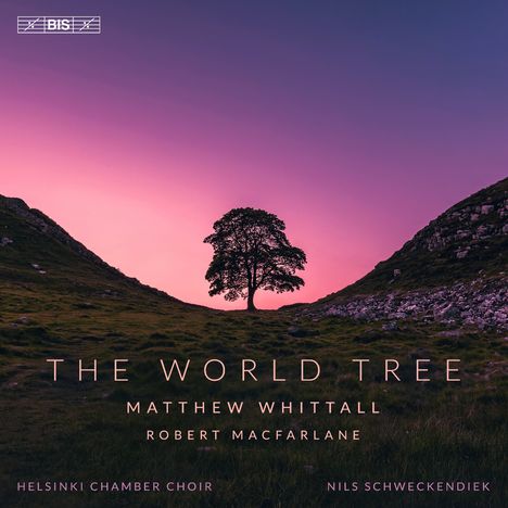 „THE WORLD TREE“, Matthew Whittall, Robert Macfarlane. Ein einsamer Baum zwischen Hügeln im rosa-violetten Himmel.