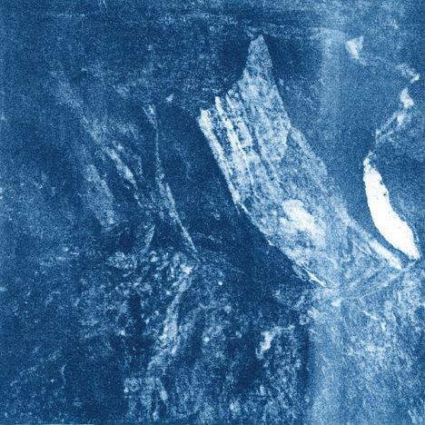 Es gibt keinen sichtbaren Text. Das Bild zeigt blaue, abstrakte Strukturen und Muster, ähnlich einer Cyanotypie.