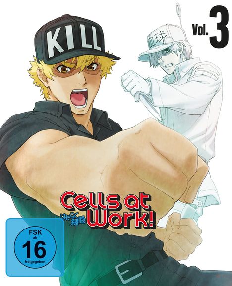 Cells at Work! Vol. 3 (Blu-ray &amp; DVD), 1 Blu-ray Disc und 1 DVD