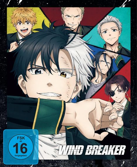 Wind Breaker Staffel 1 Vol. 1 (mit Sammelschuber), DVD