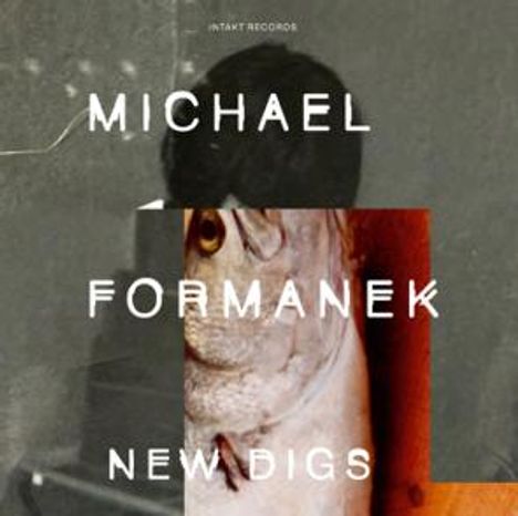 Text: "MICHAEL FORMANEK NEW DIGS". Überlagertes Gesicht mit einem Fisch und abstrakten Formen.
