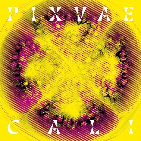 Pixvae: Cali, LP