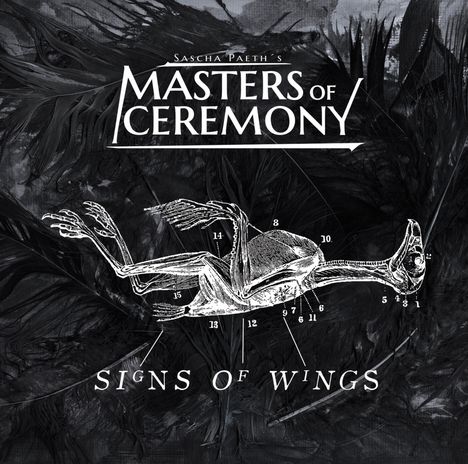 Sascha Paeth: Signs Of Wings, CD
