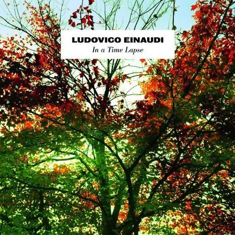 Ludovico Einaudi (geb. 1955): In A Time Lapse (180g), 2 LPs