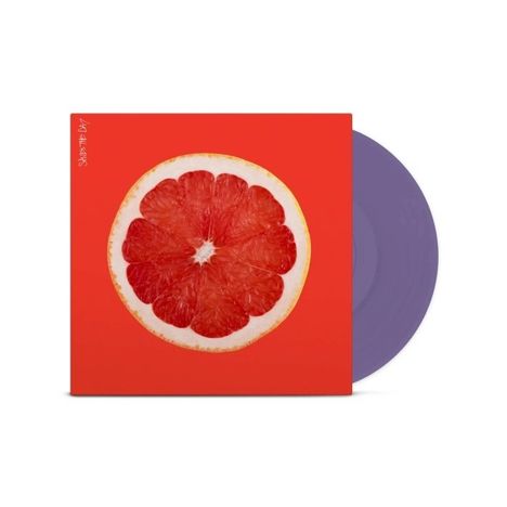 Saves The Day: Saves The Day, LP