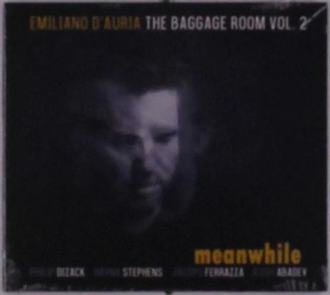 Text: "EMILIANO D'AURIA THE BAGGAGE ROOM VOL. 2", "meanwhile". Verschwommenes Gesicht eines Mannes im Hintergrund.